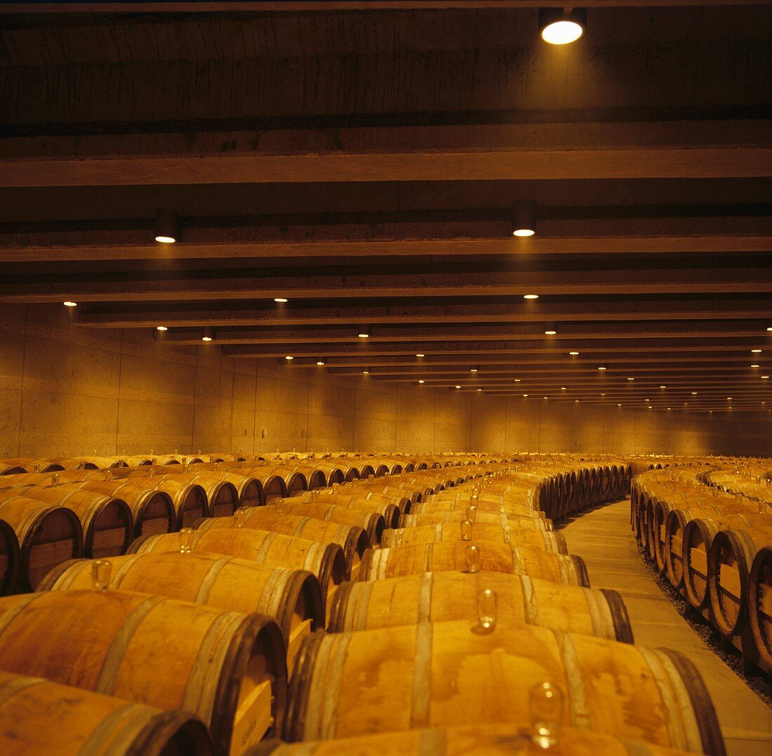 Weinkeller des berühmten Weingutes Opus One, Oakville, Kalifornien