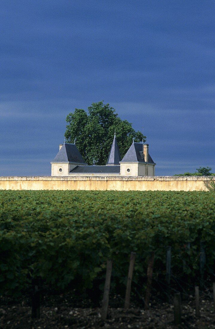 Blick auf das berühmte Château Margaux, Medoc, Bordeaux, Frankreich