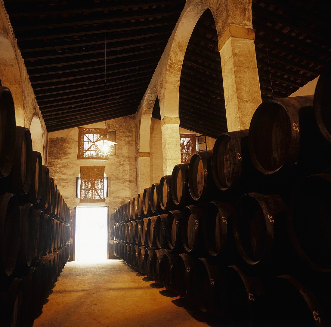 Wine cellar of Emilio Lustau, Jerez, Spain