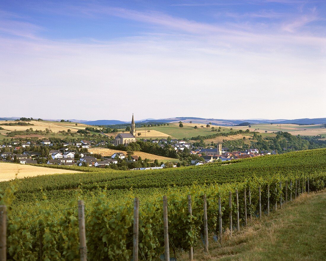 Vineyard with view of Waldböckelheim, Nahe, Germany