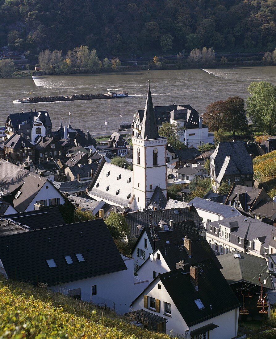 Blick auf den Weinort Assmannshausen, Rheingau, Deutschland