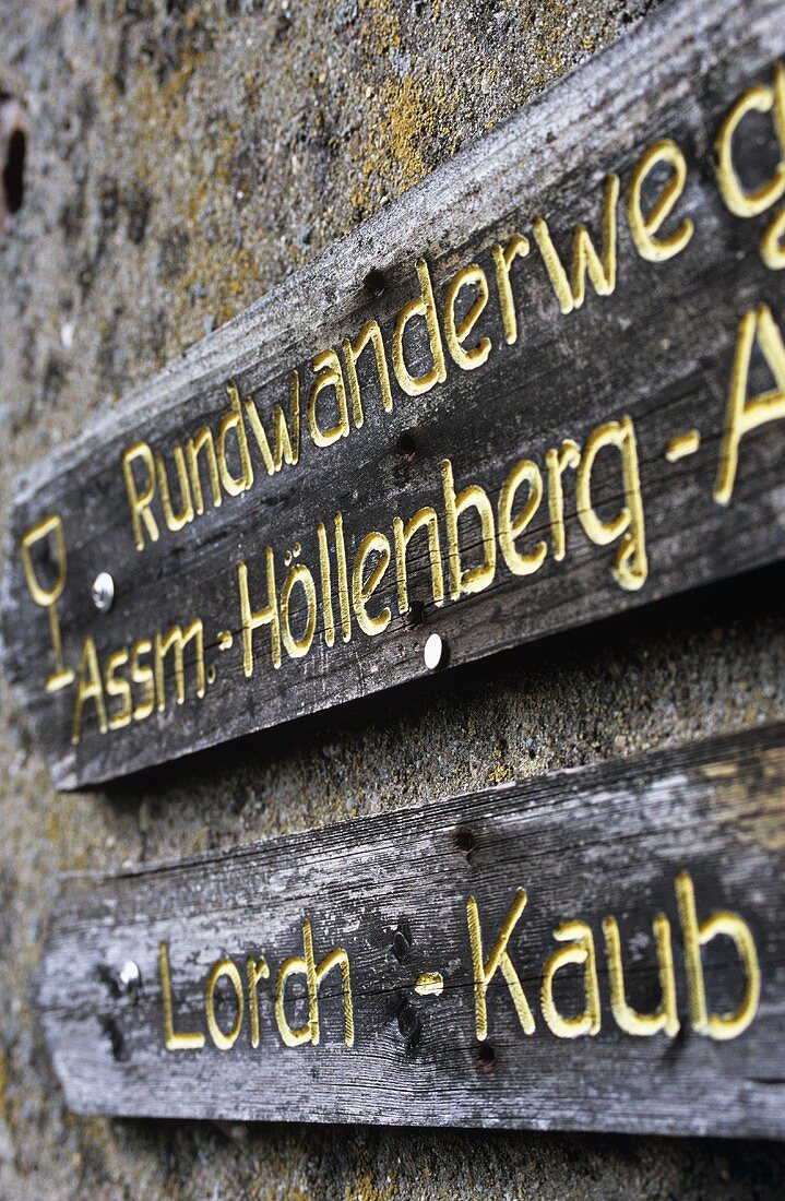 Signpost for wine route on 'Assmannshäuser Höllenberg' site, Rheingau, Germany