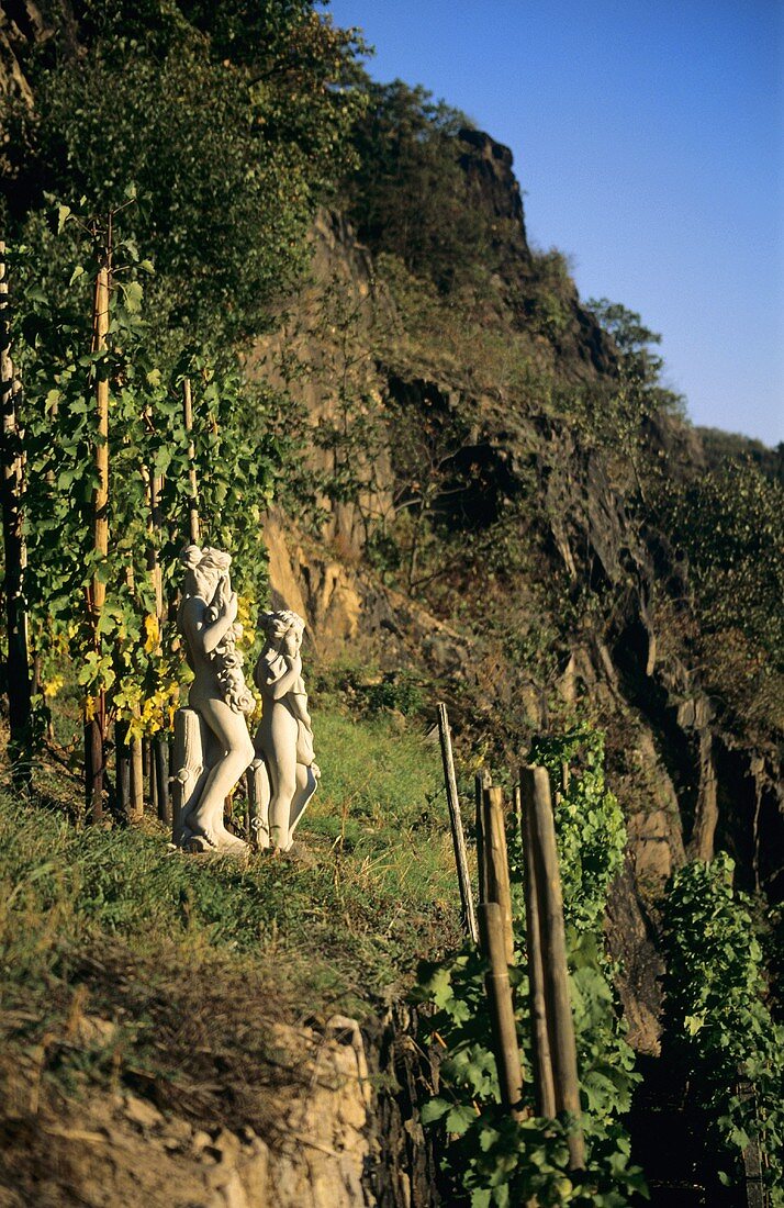 Plaster figures in vineyard, Weingut Joachim Lehmann, Seusslitz, Germany