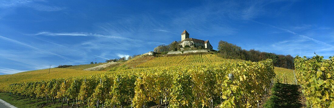 Vineyards around Lichtenberg castle, Grossbottwar, Württemberg, Germany