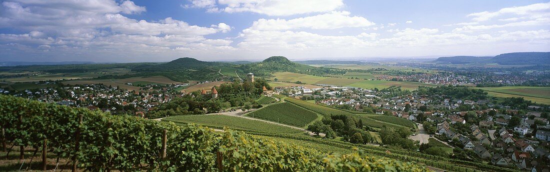 'Hohenbeilsteiner Schlosswengert' Einzellage, Beilstein, Württemberg, Germany