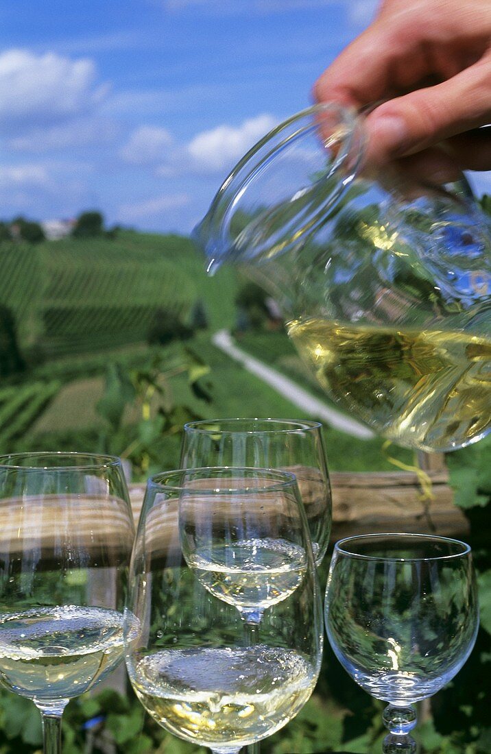 Weißwein eingießen, im Hintergrund Weinberge, Slowenien