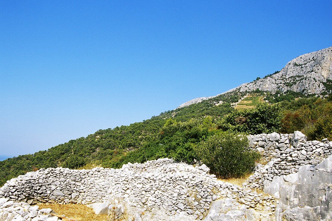 Alte Weinberge zwischen den Felsen bei Sveta Nedelja, Insel Hvar, Kroatien