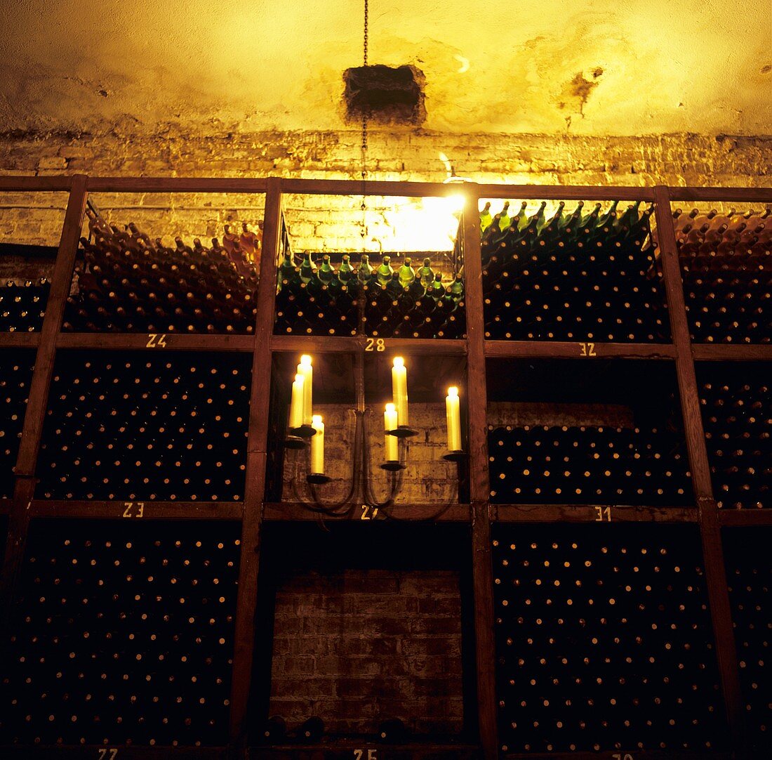Wine cellar of Crama Urlateanu Winery, Romania
