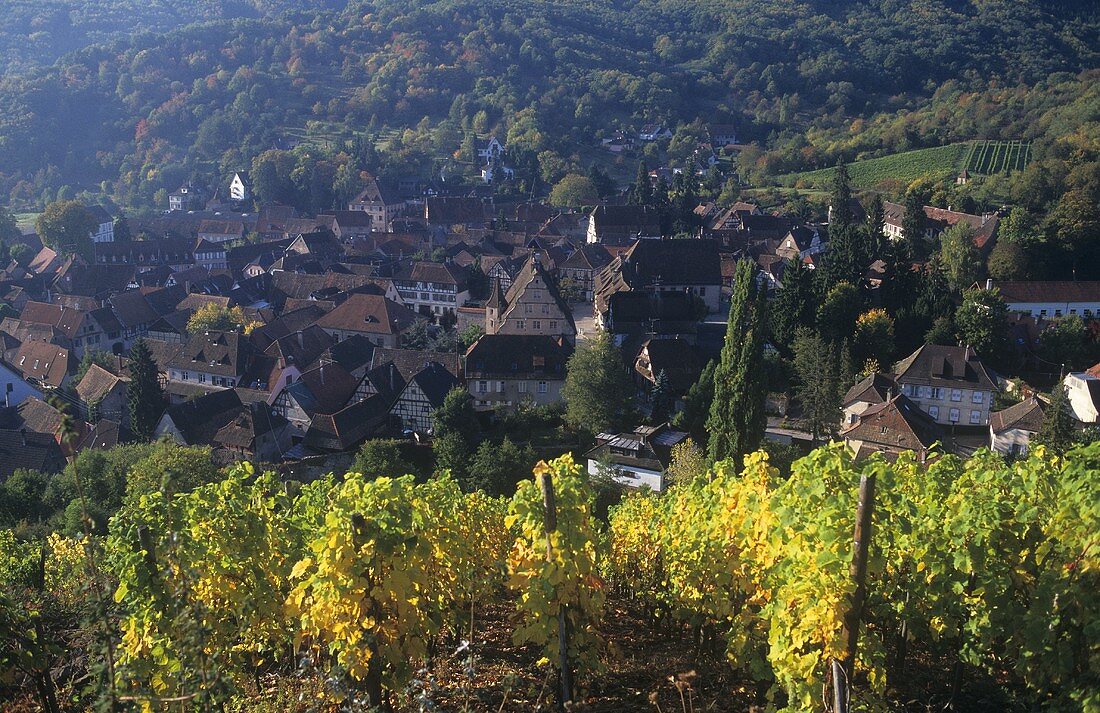 Blick auf Andlau, bekannter Weinort im Elsass, Frankreich