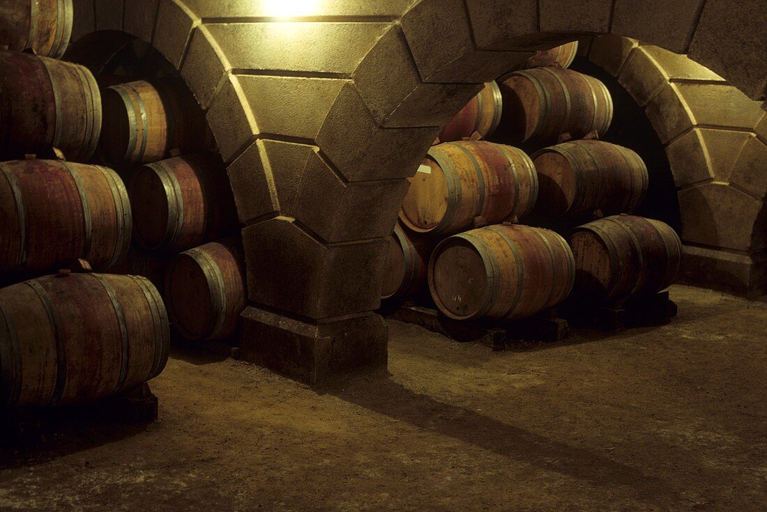 Alain Brumont wine cellar, Madiran, France