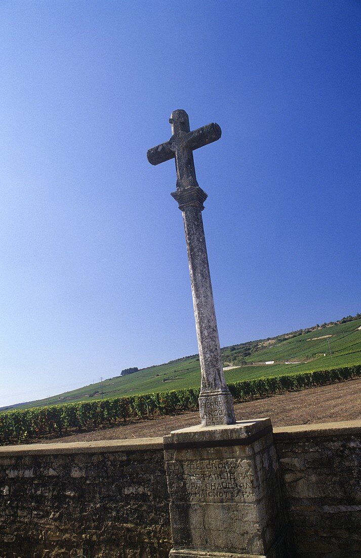 Ein Kreuz am Romanée-Conti Weinberg, Vosne-Romanée, Côte d'Or