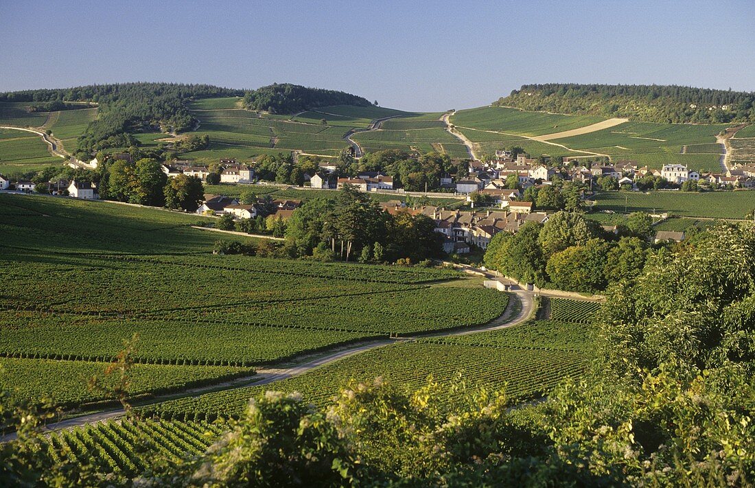 Gemeinde Montagny-les-Buxy, Buxy, Burgund