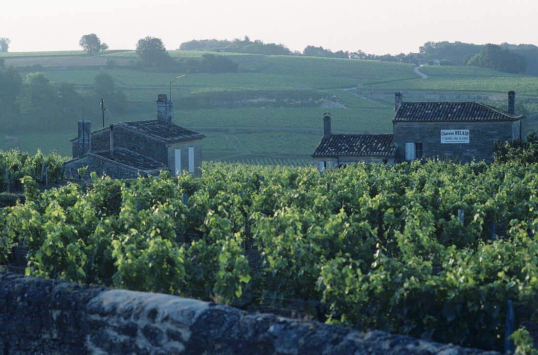 Chateau Belair, St-Emilion, Bordeaux, France