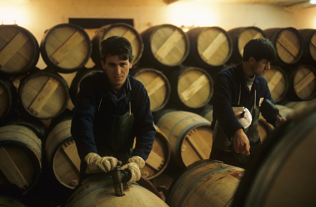 Filling wine barrels, Chateau Pichon Longueville Comtesse de Lalande