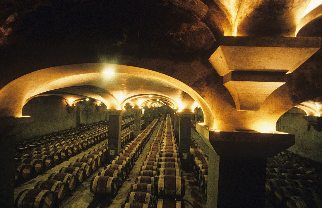 The wine cellar of Chateau Margaux, Medoc, France