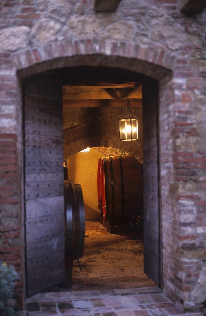 View into a wine cellar, Friuli, N. Italy