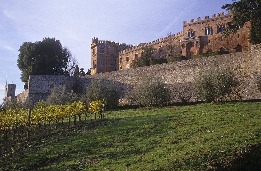 Castello di Brolio vom Weingut Ricasoli, Chianti Classico