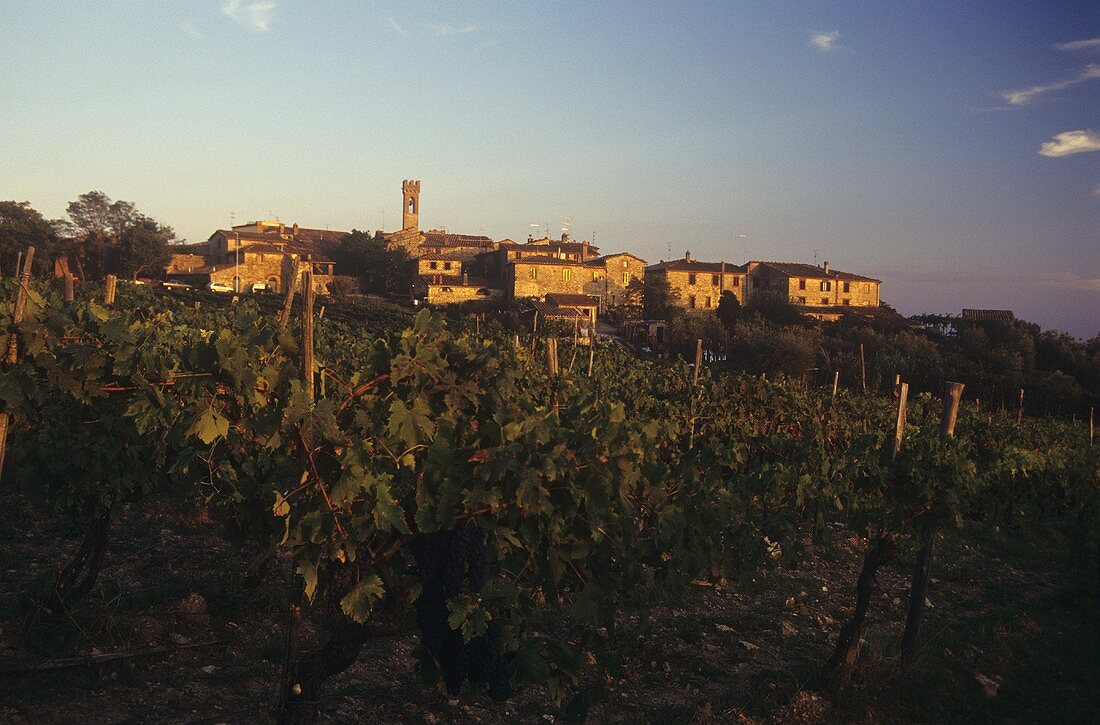 Villa a Sesta, Chianti Classico, Toskana, Italien