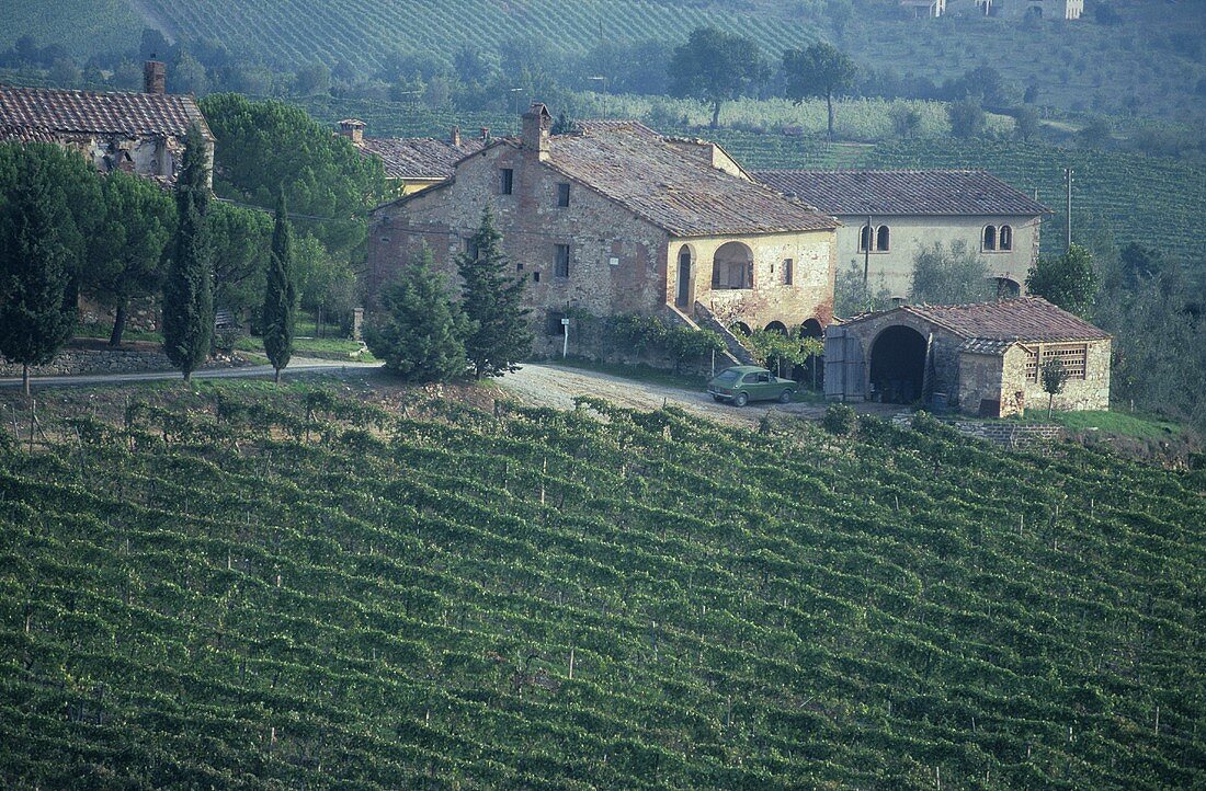 Weingut im Chianti Classico, Toskana, Italien