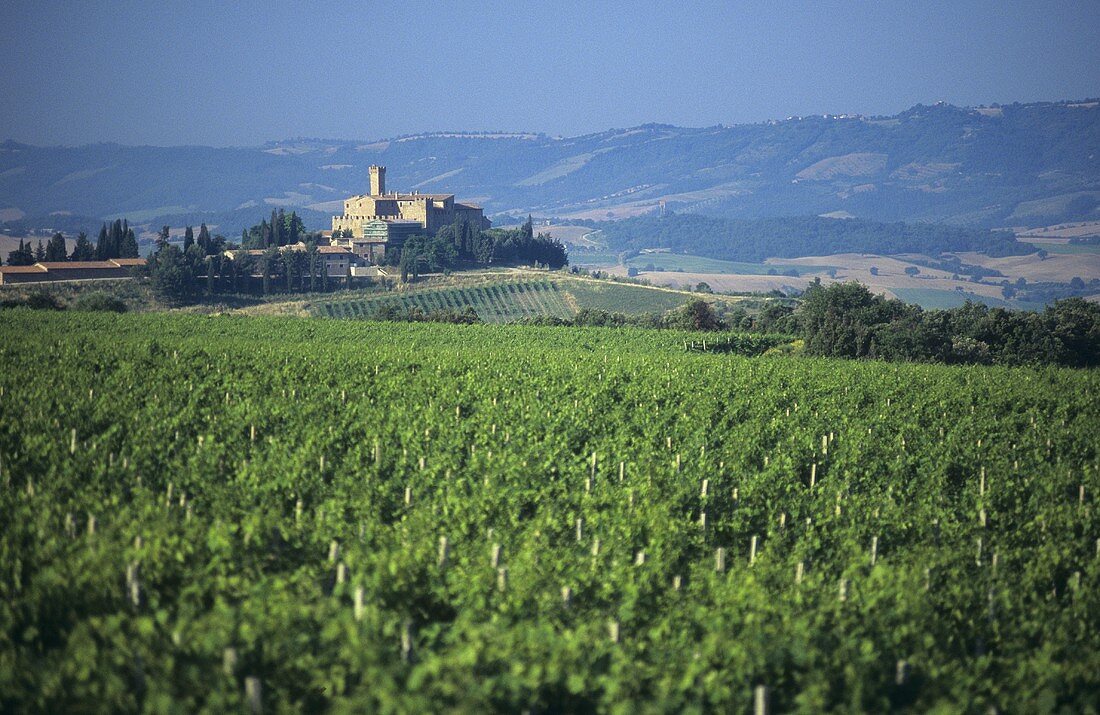 Das Weingut Villa Banfi, Montalcino, Toskana, Italien