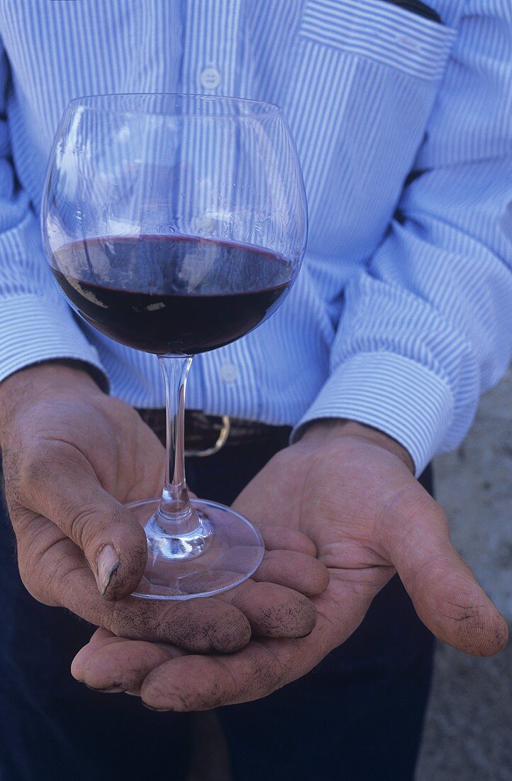 Mann hält Glas mit Brunello di Montalcino, Italien