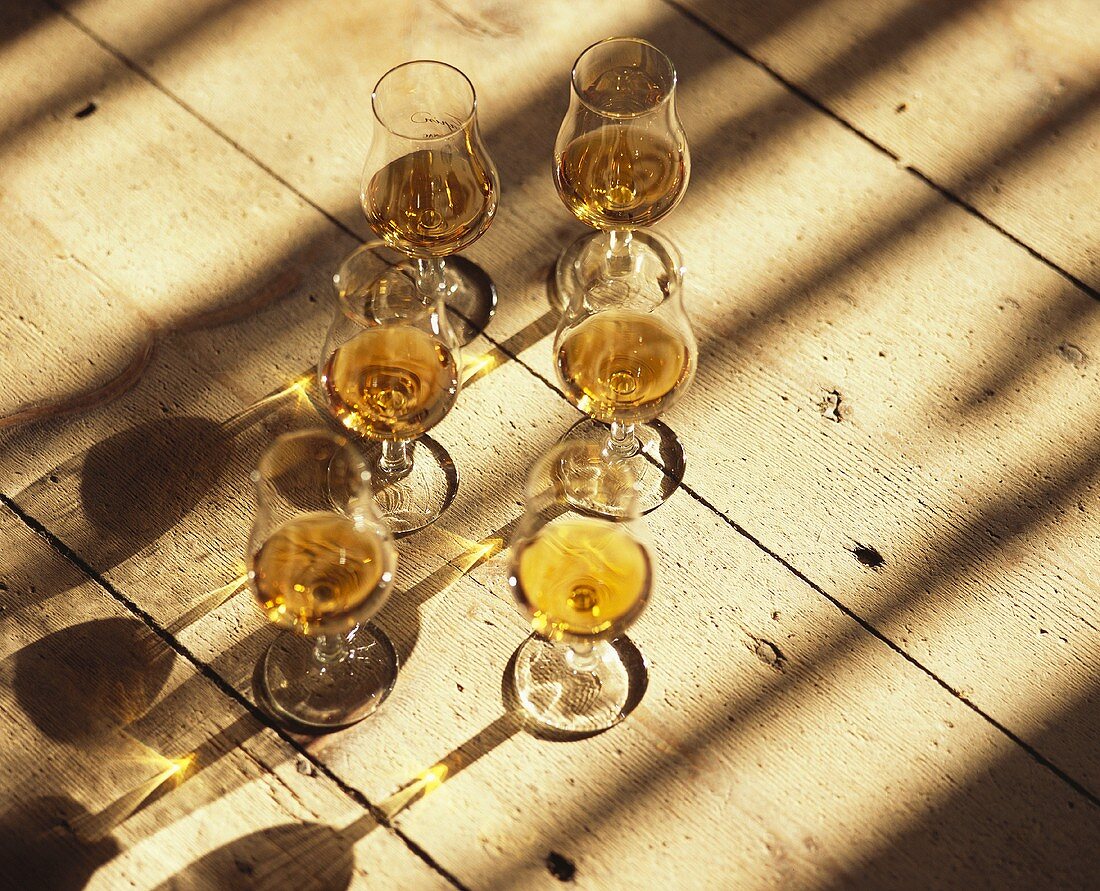 Cognac Frapin in glasses, Grande Champagne, Cognac, France