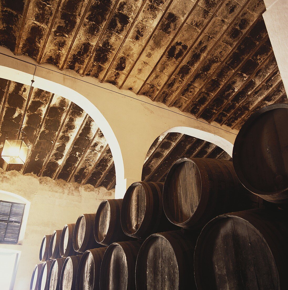Weinfässer der Bodega Aranda, Jerez, Spanien
