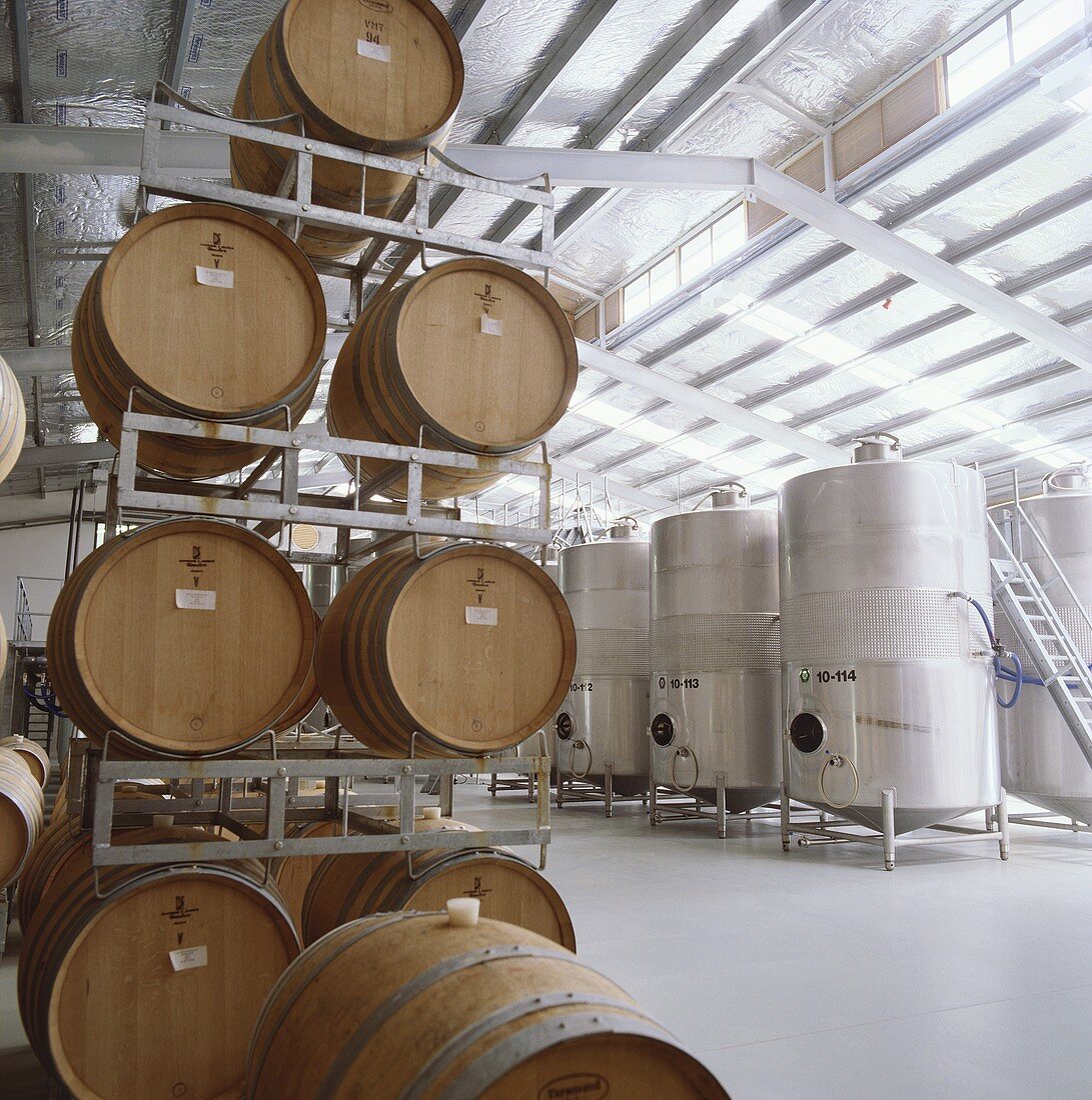 Wine barrels and steel tanks, Selaks Wines, N. Zealand