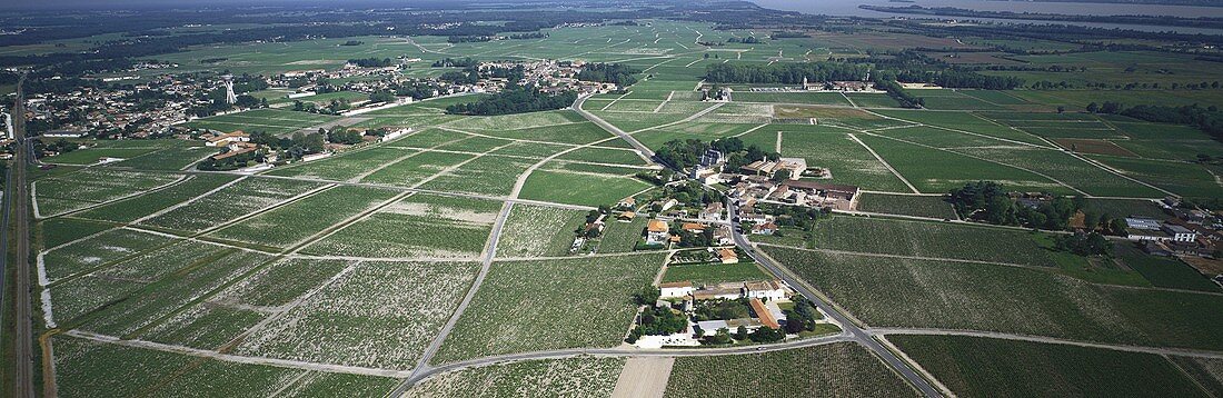 Wine-growing in Margaux, Médoc, Bordeaux, France