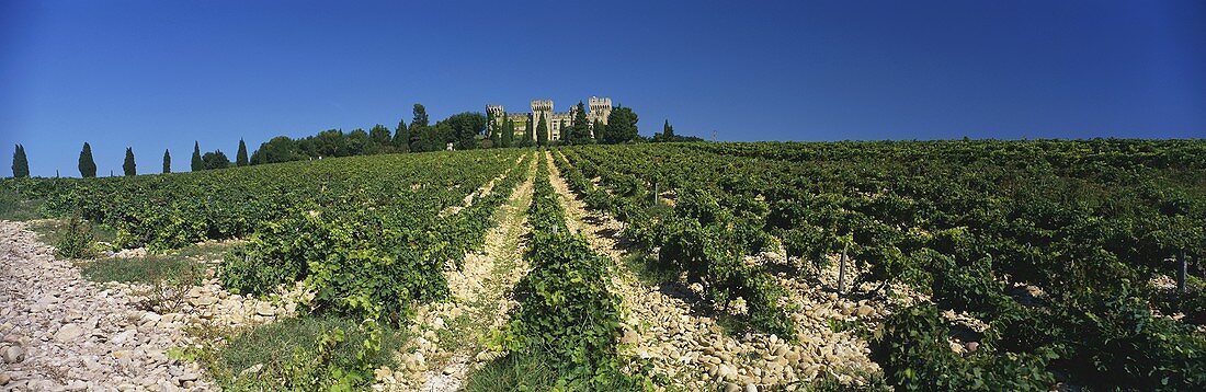 Château des Fines Roches, Châteauneuf-du-Pape, Rhône, Frankreich