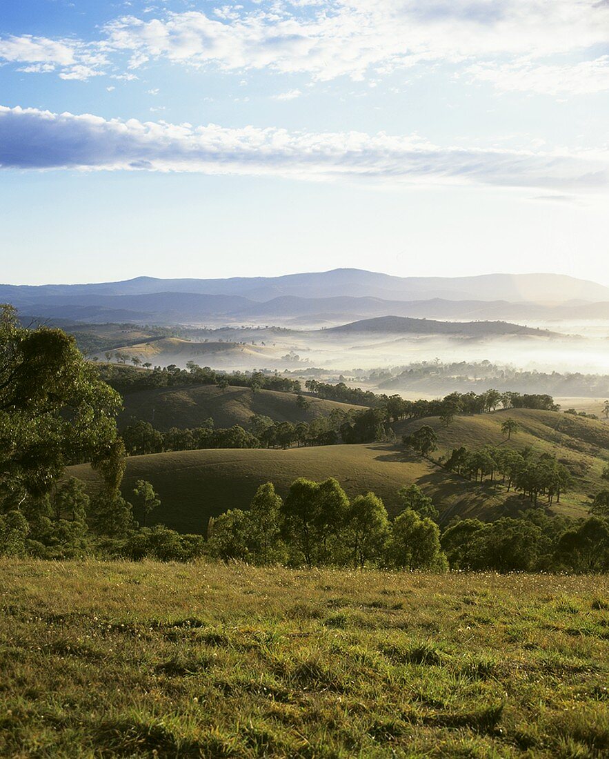 Das Yarra Valley, Victoria, Australien