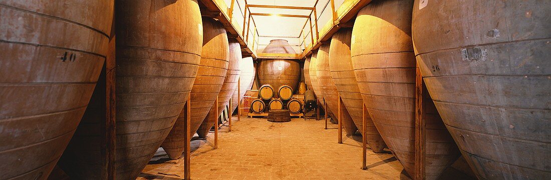 Tinajas at Videva winery, Valdepeñas, Spain