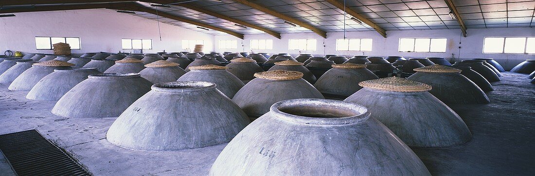 Tinajas auf dem Weingut Bodegas Espinosa, Valdepeñas, Spanien