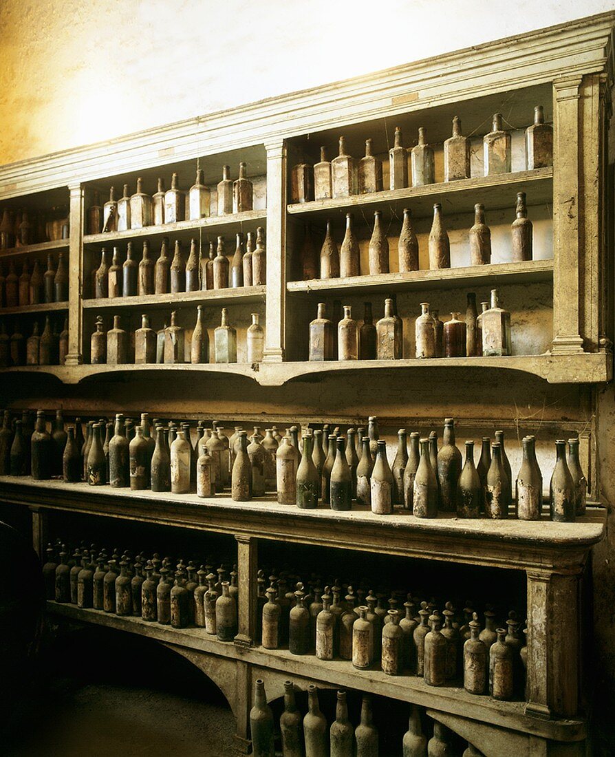 Old wine bottles, Gonzalez Byass, Jerez de la Frontera, Spain