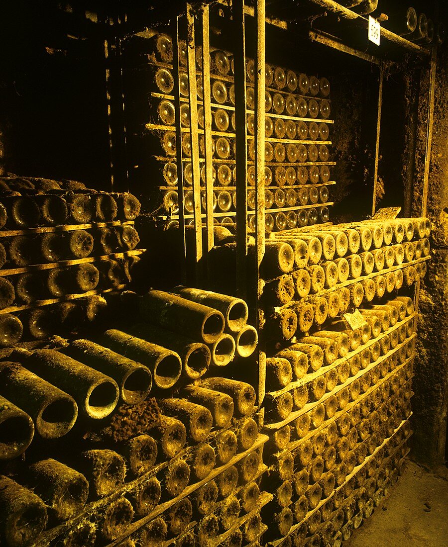 Im Keller von Marqués de Riscal, Elciego, Rioja Alavesa, Spanien