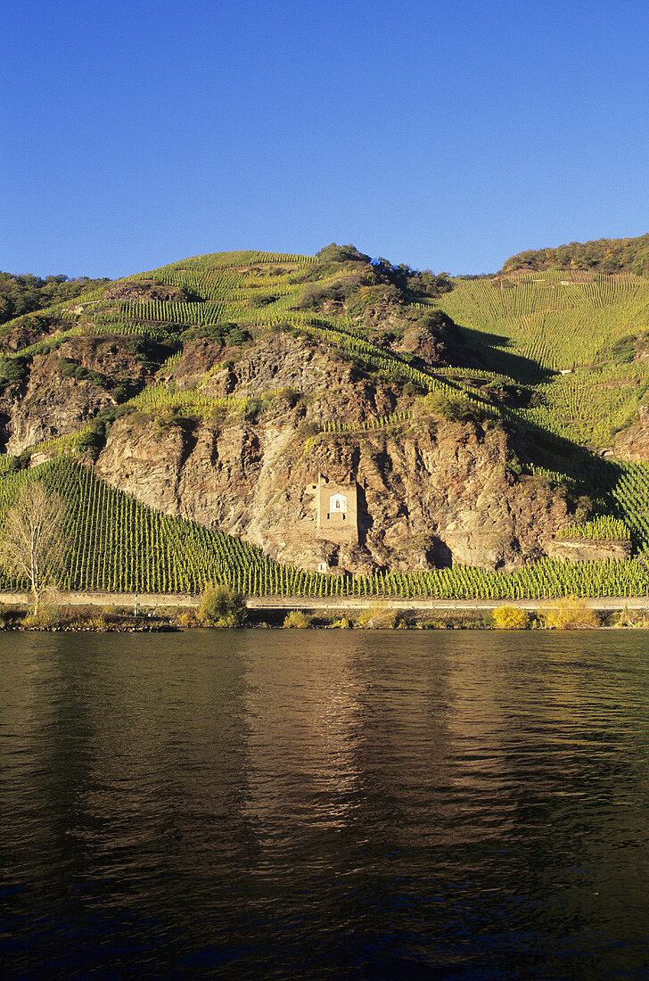 Ürziger Sonnenuhr, Ürzig, Mosel, Deutschland