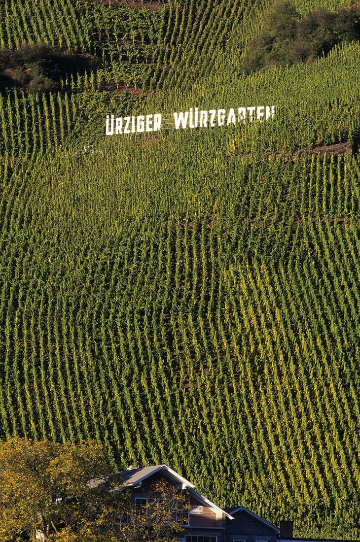 Ürziger Würzgarten, Mosel-Saar-Ruwer, Deutschland