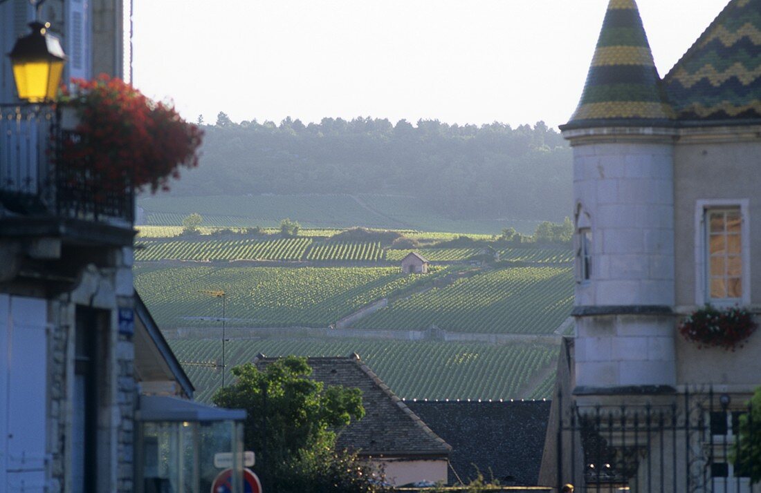 Das Weindorf Meursault, Burgund, Frankreich