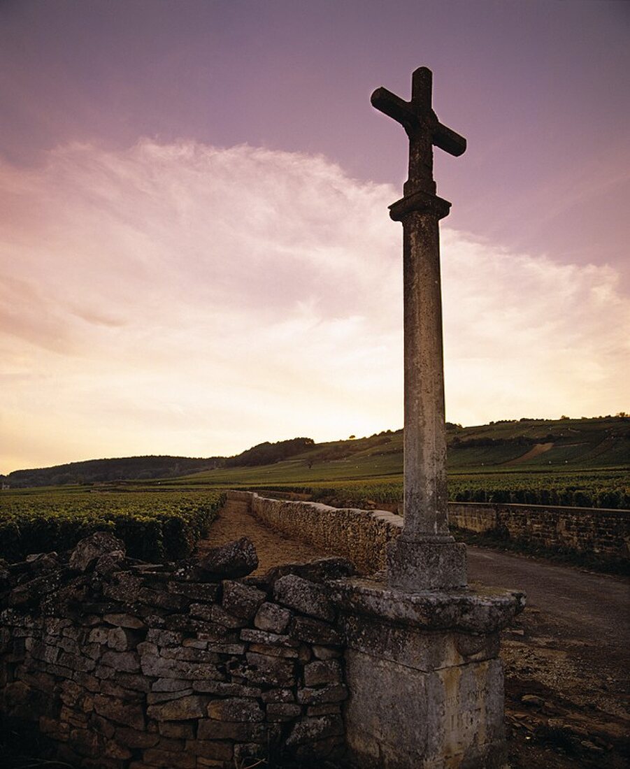 Premier Cru Lagen: Les Rugiens-Bas & Les Jarolieres, Frankreich