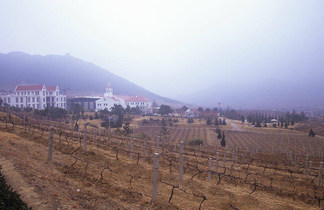 Huadong Winery, Qingdao (Tsingtau), China