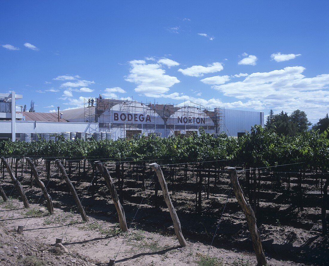 Bodega Norton, Lujan de Cuyo, Mendoza, Argentinien