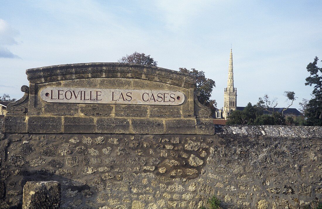 A vineyard wall of Leoville Las Cases Estate, St. Julien, Médoc