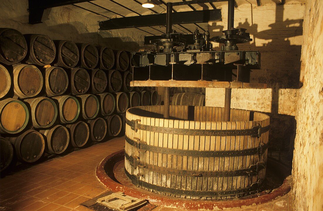 Weinkeller Bodegas Marqués de Murrieta, Logrono, Rioja, Spanien