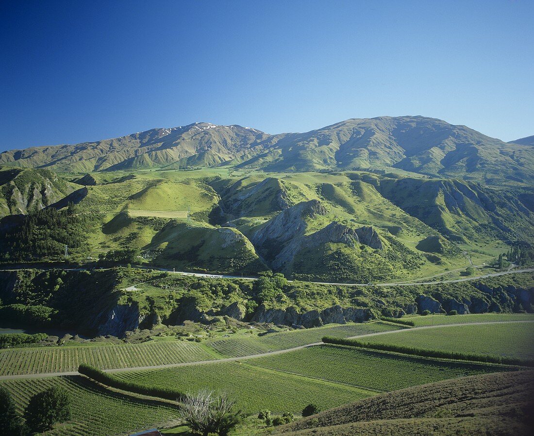 Chard Farm, Central Otago, New Zealand