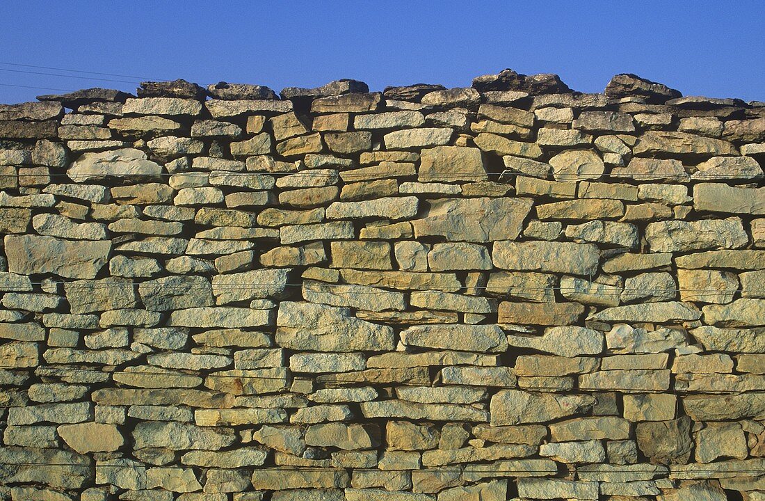 Stone wall around vineyard, Burgundy, France