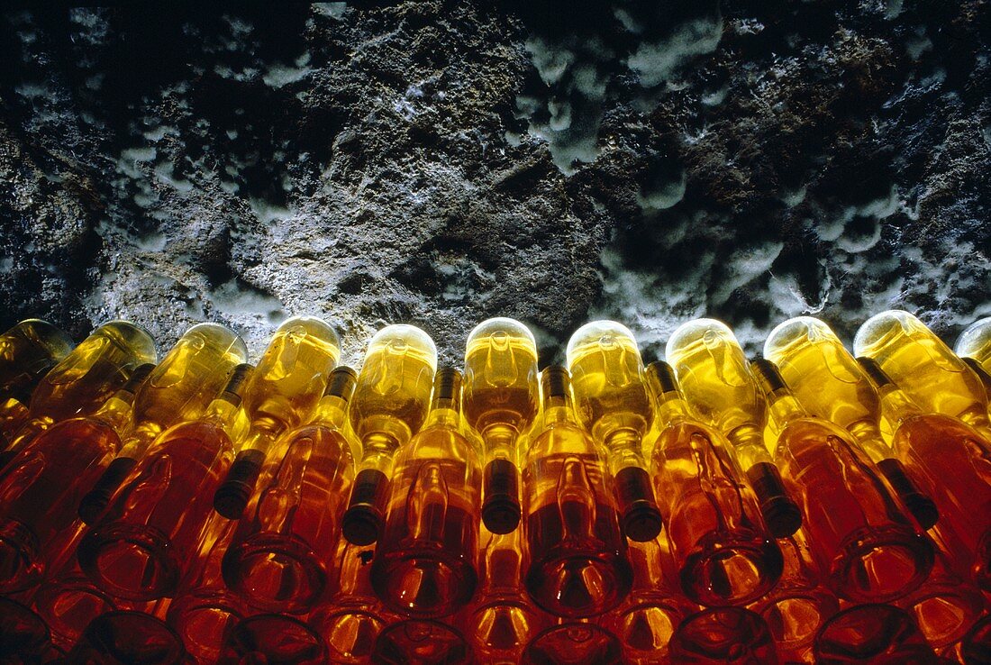 Tokaj-Flaschen im Weinkeller von Oremus, Tolcsva, Ungarn