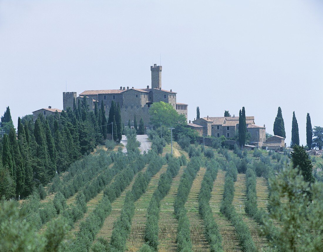 Das Weingut Villa Banfi, Montalcino, Toskana, Italien