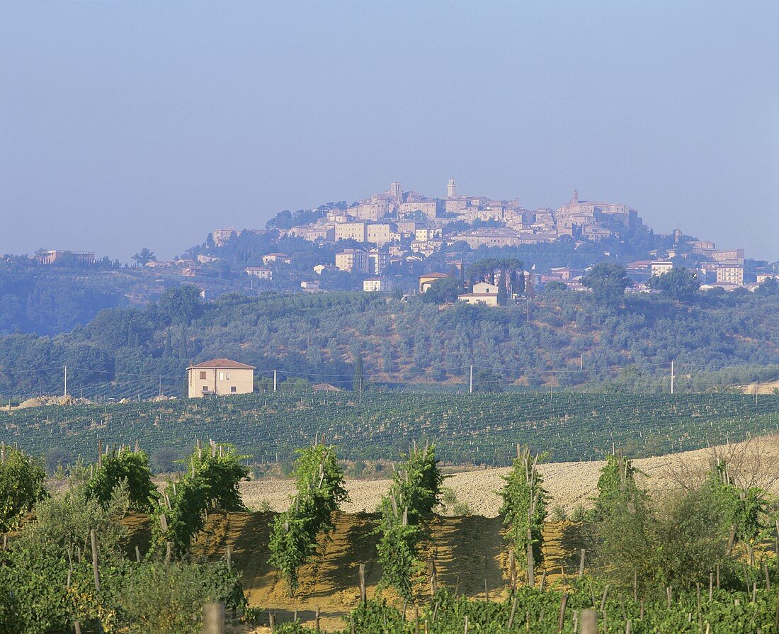 Blick auf Montepulciano, Toskana, Italien