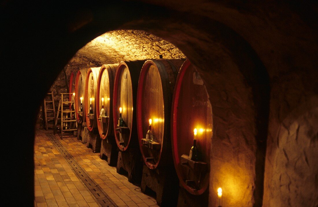 Wine cellar of Weingut Artur Steinmann, Sommerhausen, Germany