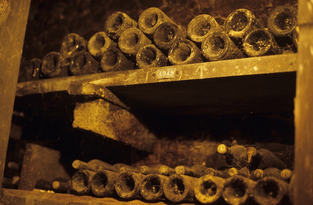 1919er in Schatzkammer eines Weingutes, Rheingau, Deutschland